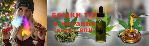 тгк Богородицк